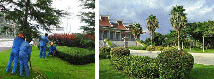 園林綠(lǜ)化工程