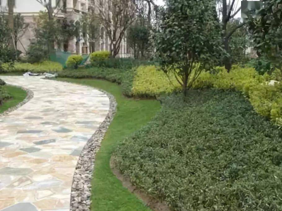 小區綠（lǜ）化養護方法（fǎ）